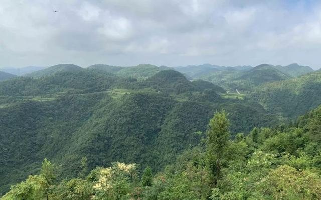 情绪不好怎么办，心情不好怎么办（“小时候吃的野果子）