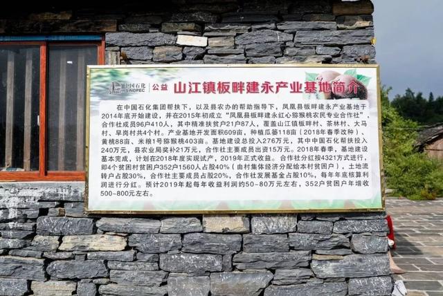 公积金缴存明细，如何查询及导出单位住房公积金缴存明细（“小时候吃的野果子）