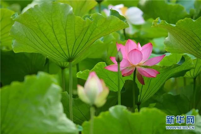 昆明在哪个省哪个城市，昆明属于哪个省（昆明跻身特大城市）