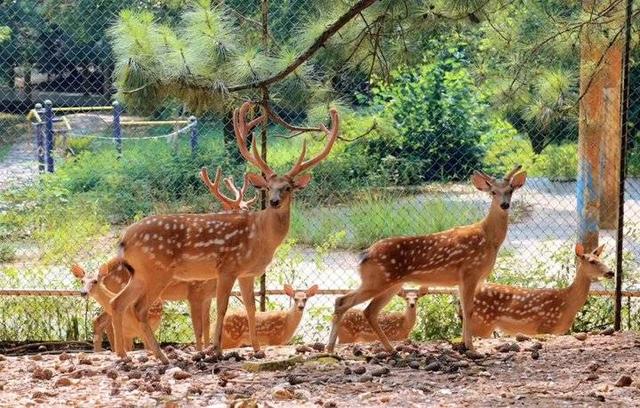 南昌理工学院宿舍，2021南昌理工学院排名（南昌理工学院2020山东招收统招本专科计划356人）