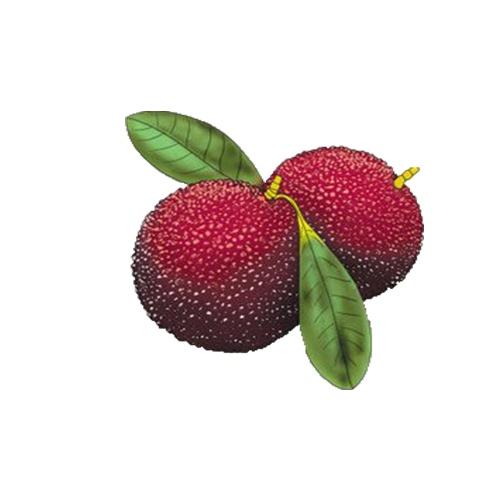 葡萄和西瓜哪个糖分高，血糖高禁吃的十大食物（这些水果含糖量大公开）