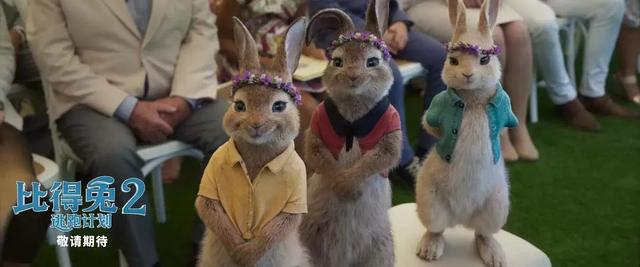 蓝色系列小兔子图片，蓝色的小兔子图片（这只小兔子是今年夏天的欢乐源泉）