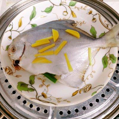 清蒸骨鱼的做法和配方，清蒸骨鱼的做法和配方视频（超满足的清蒸鲳鱼）