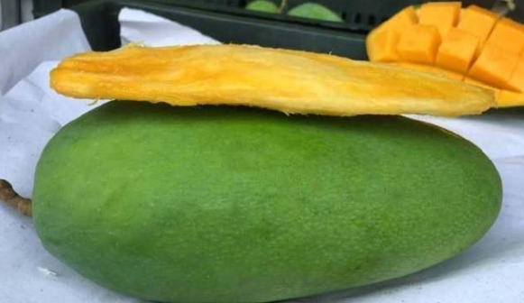 水仙芒和金煌芒的区别，金煌芒与大青芒的区别（这些芒果长得都一样）