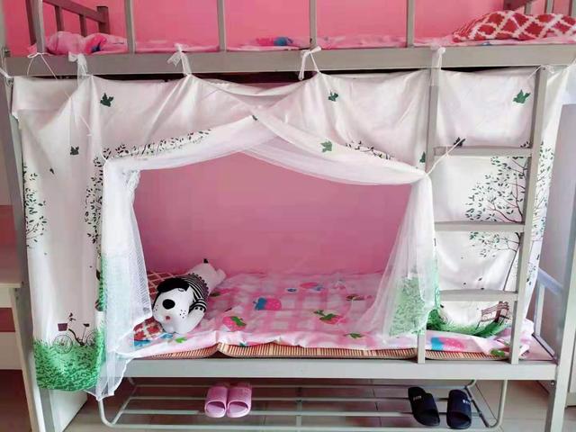 会计顶岗实习总结，深圳市中特技工学校学生实习管理工作总结