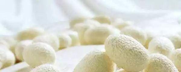 怎么洗真丝，真丝衣服染色怎么洗掉妙招（真丝衣服怎么洗才能不掉色）