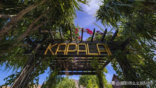 梦幻天堂游戏手机版下载，梦幻天堂经营手游官网最新版下载安装安卓版appv45.0.2（我才明白什么叫做梦幻天堂）