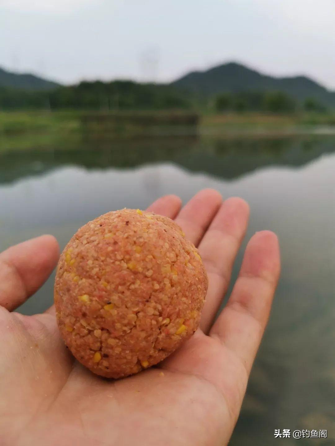 秋季钓鲤鱼黄金饵料配方大公开，自制高效诱鱼，轻松爆护不是梦！