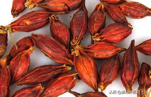 桅怎么读音，檐怎么读音组词（每周一药，栀子）