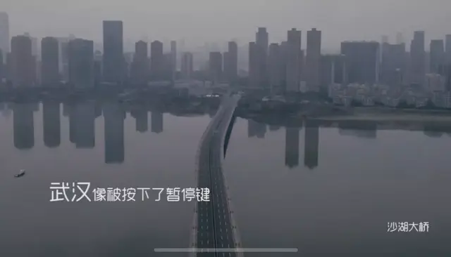 猪突猛进是什么意思，猪突猛进是什么意思日语（自愿宅和强制宅完全是两种感觉）