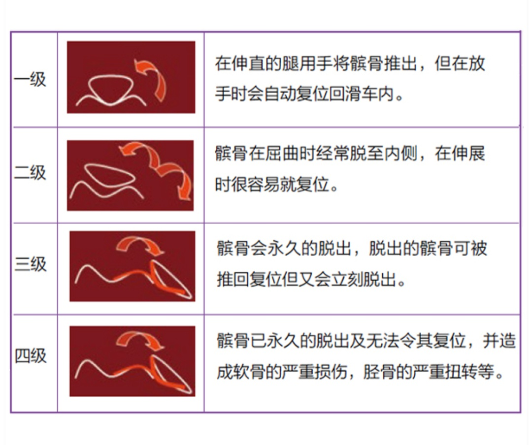 泰迪 后腿肌肉萎缩手术多少钱 泰迪狗肌肉萎缩怎么办