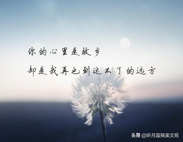 作者:昕月蓝殇往事如梦,有的人只是个过客,有的人却是刻骨铭心般的