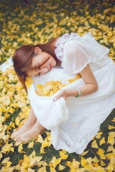 银杏叶的花语和意义，银杏叶的花语寓意（银杏花语、传说和旅游景点推荐）