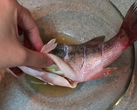 图片[2]-【清蒸鲈鱼】做法步骤图 千万别少了这步 否则腥味重 鱼肉散烂-起舞食谱网