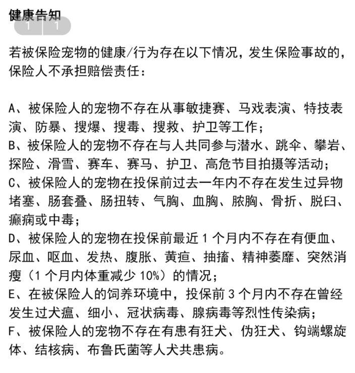 猫咪血检多少钱（宠物医院血检收费标准一览表）