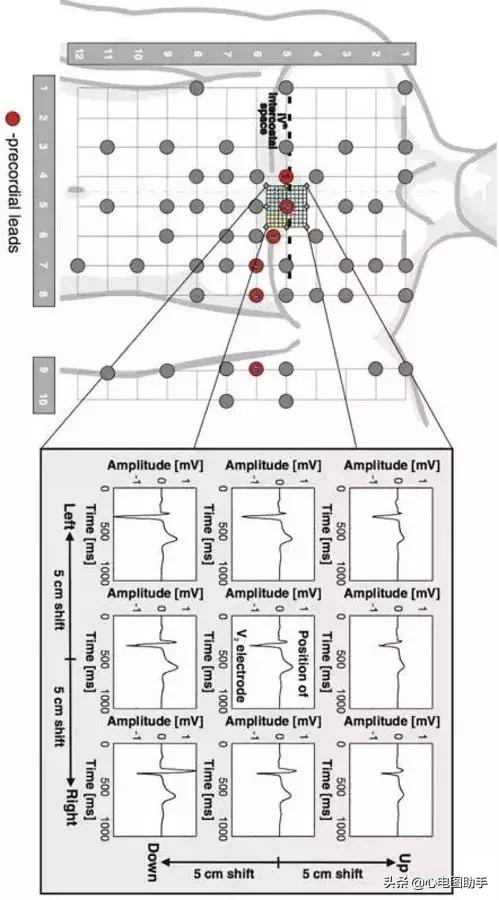 胸骨左缘第五肋间隙下两厘米的地方是她，我把她藏在心跳最剧烈的地方。，你是我放在胸骨左缘第五肋间隙的人（来看看这些需要注意的细节图片）