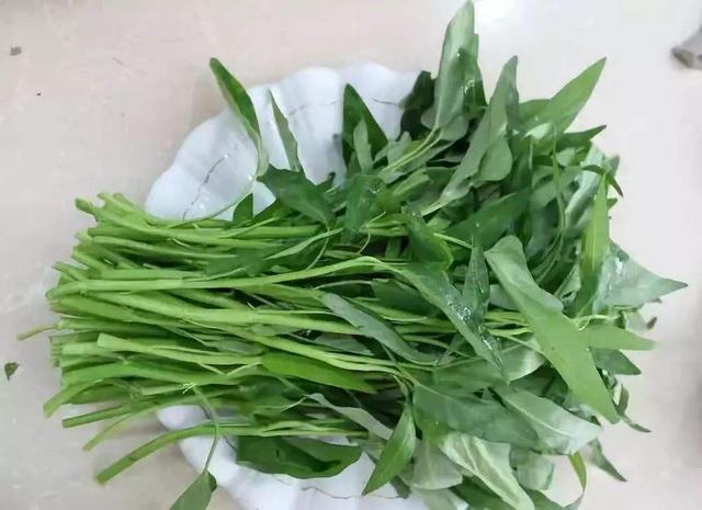 空心菜什么时候种，空心菜有几个品种（4月吃到10月味道赞）