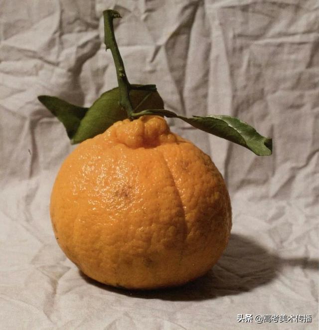 色彩中静物调色怎么调，色彩静物变调（教你理解快速掌握色彩静物）