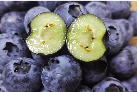 蓝莓怎么吃一天吃多少，蓝莓的一天吃多少合适（为家人健康不妨看看）