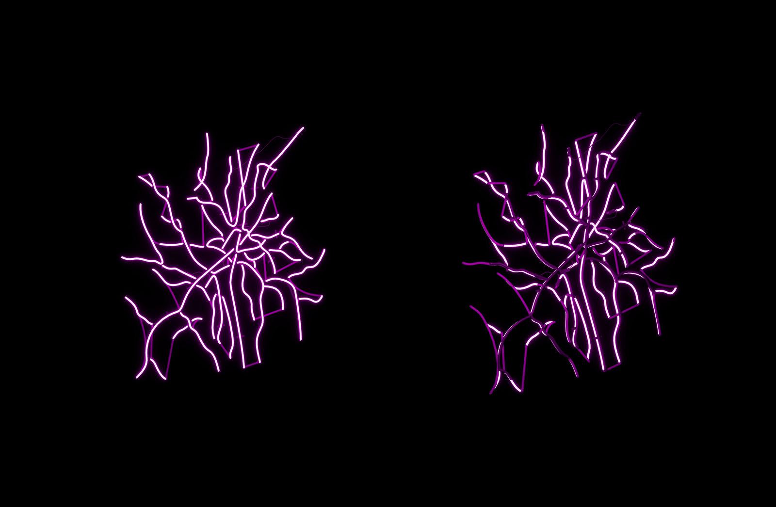 它是地球上所有生命的共同祖先.露卡很快发展出了单链的rna.