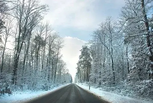 在古代可以用什么词代替雪，在古代对雪的称谓还有哪些（看看古人对雪的24种雅称）