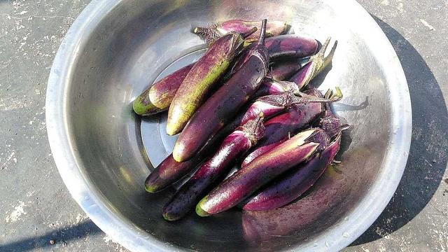 鱼鳞茄子做法，茄子鱼的做法（茄子的五种烹饪方法）