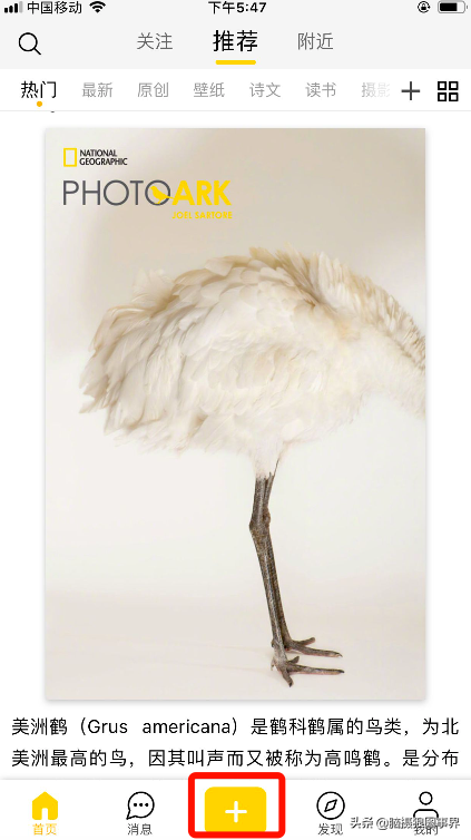 如何在图片上编辑文字，如何编辑照片上的文字（如何快速给图片添加上漂亮的文字内容）