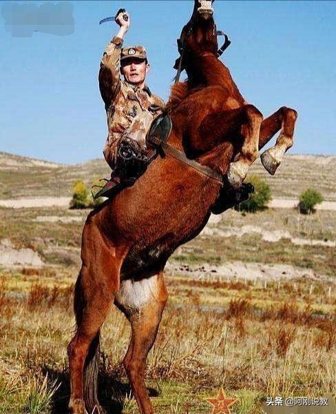 带横字的成语有哪些，带横字的成语有哪些成语（请看：妙趣横生且说“横”）