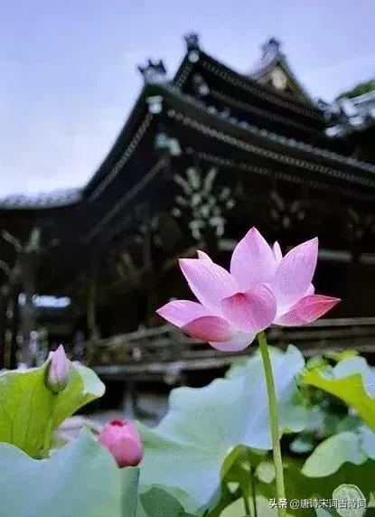 温庭筠最有名的十首诗,李商隐的诗(花间至尽:温庭筠的十大名作) 温庭筠最有名的十首诗,李商隐的诗(花间至尽:温庭筠的十大名作)