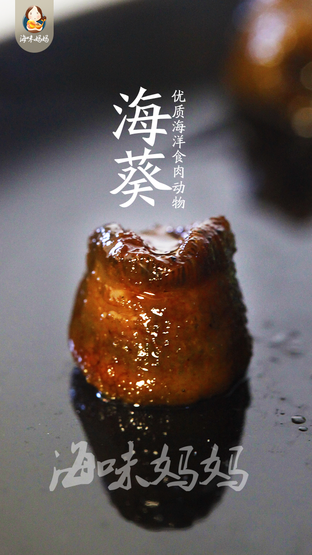 海葵有什么功效和作用(花了2小时做一道酱爆海葵)
