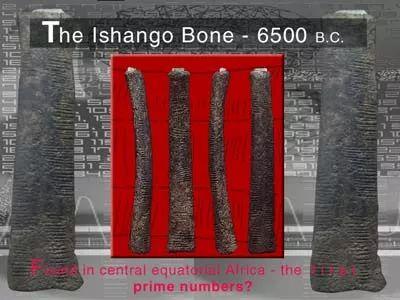 什么是质数，什么是质数,合数,偶数,奇数,自然数,整数（还是构建数学的基石）