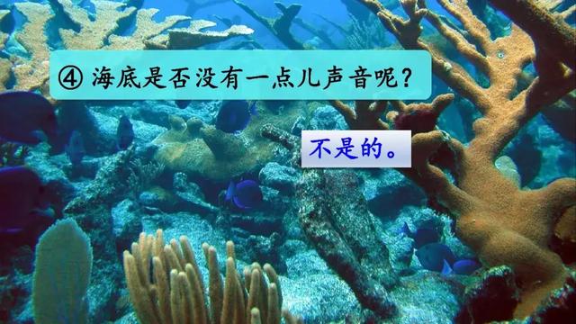  推怎么组词，推的组词（部编版三年级语文下册课文23《海底世界》知识点+图文解读） 