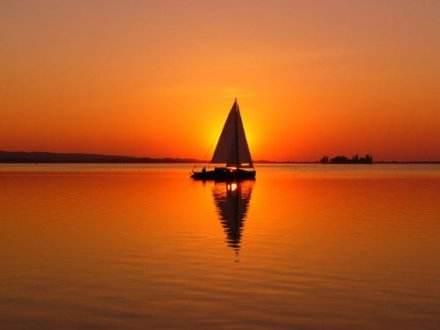 蚂蚁代表什么风水，家里出现蚂蚁预示什么（就是他最好的风水”你怎么看）