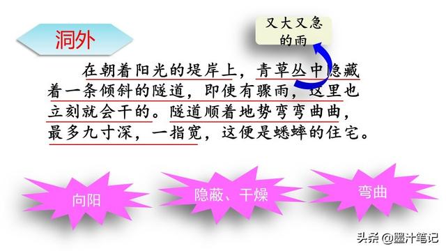 蟋蟀的住宅指的是什么，蟋蟀的住宅 是指什么（第三单元《蟋蟀的住宅》课文讲析）
