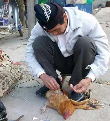 鸡子是什么，这个高薪行业即将消失（鸡子是什么器官）