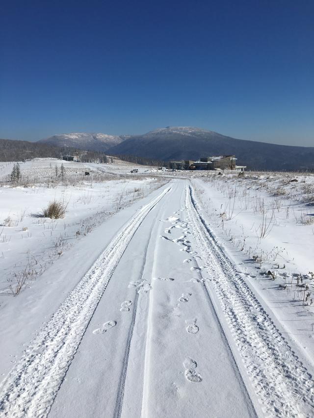 东北雪乡在哪个城市(黑龙江牡丹江雪乡,迎来了2021年的第一场雪:雪乡