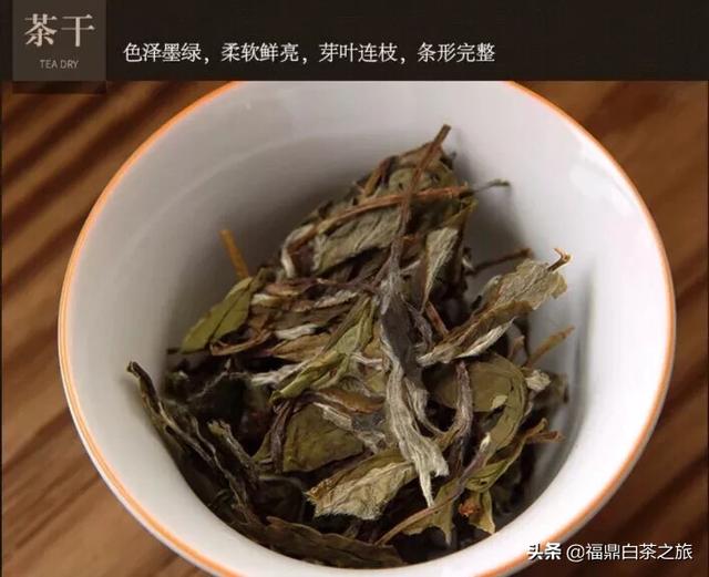 贡眉的功效与作用介绍，福鼎白茶—贡眉