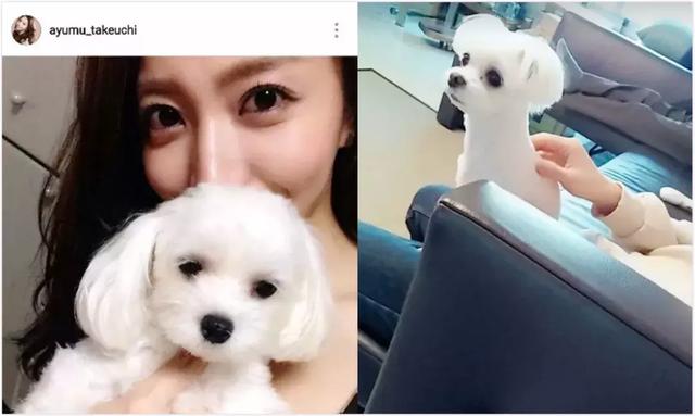 和岛国十八禁换头女星同居？大帅哥就这眼光……不能吧…
