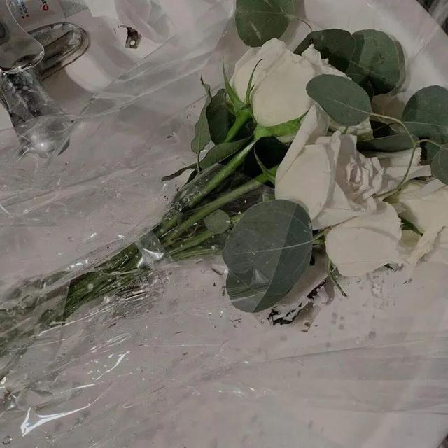 ins背景图，ins背景图简约（惊艳访客的ins风小众背景图）