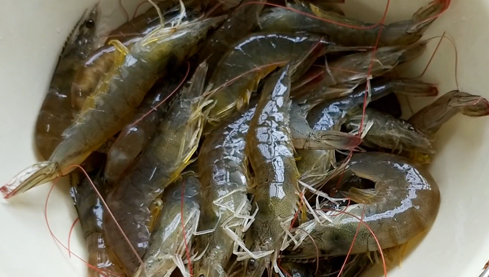 圖片[2]-【絲瓜大蝦湯】做法步驟圖 鮮香味美 出鍋湯汁都不剩-起舞食譜網(wǎng)