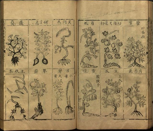 本草纲目全书带图，李时珍本草纲目全书（李时珍著《本草纲目》附图卷）