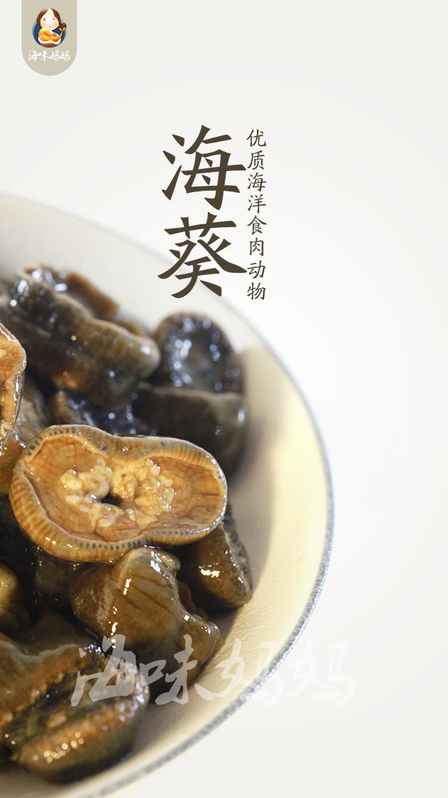海葵有什么功效和作用(花了2小时做一道酱爆海葵)