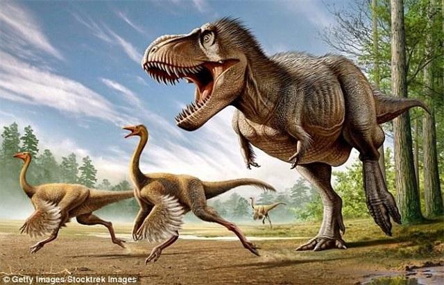 美国发现了一只活恐龙是真的吗（网友：外形酷似迅猛龙）