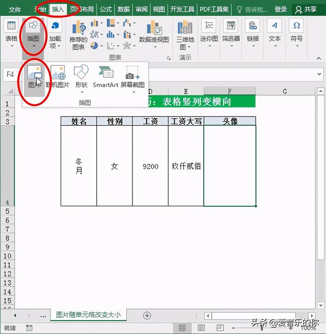 excel表格单元格怎么调整大小，Excel教程（图片随单元格改变大小）