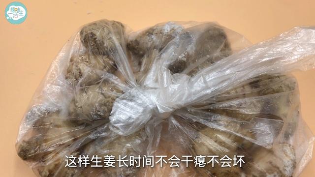 生姜怎么保存，生姜怎么保存新鲜不烂（原来保存生姜这么简单）