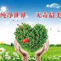 岳阳禁毒 头像