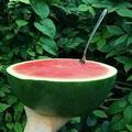 炎炎夏日风 头像
