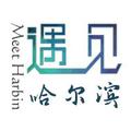 深度哈尔滨 头像
