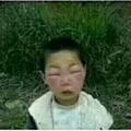 单纯的搞笑视频 头像