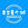 老王带你看个球 头像